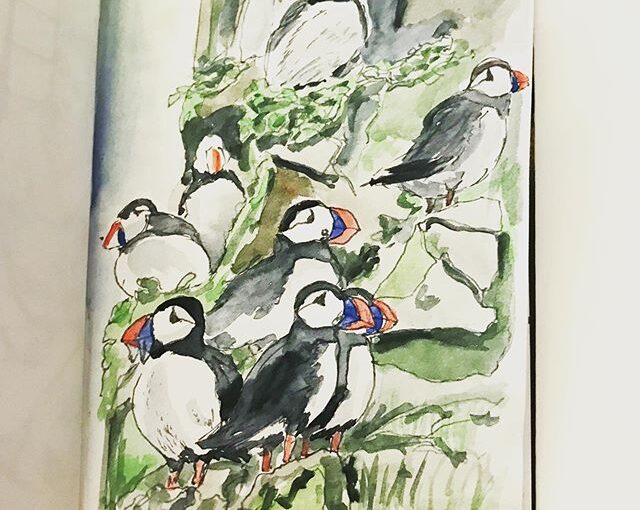 Art: Puffins