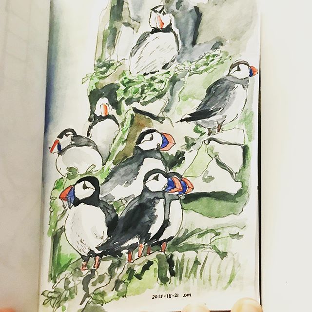 Painting of 9 puffins on rocks and some vegetation
