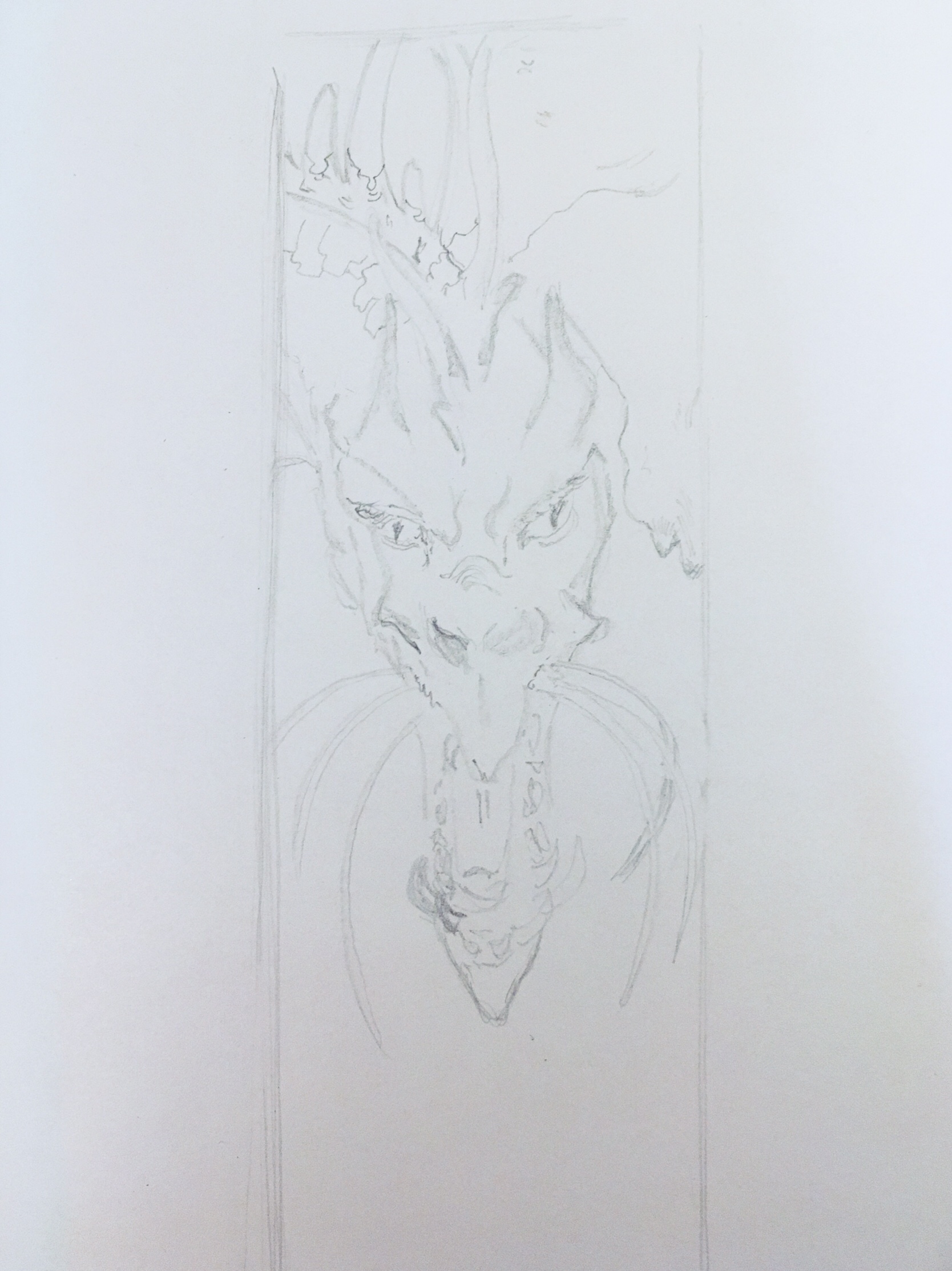 Rough pencil sketch of the dragon within a tall and narrow rectangle