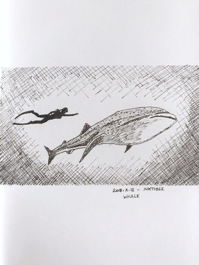Black ink drawing of the silhouette of a diver next to a not-too-large whale. Badly done cross-hatching for the shadows.