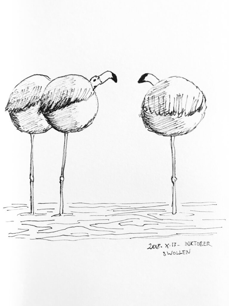 Black ink drawing of three flamingos whose bodies are round.