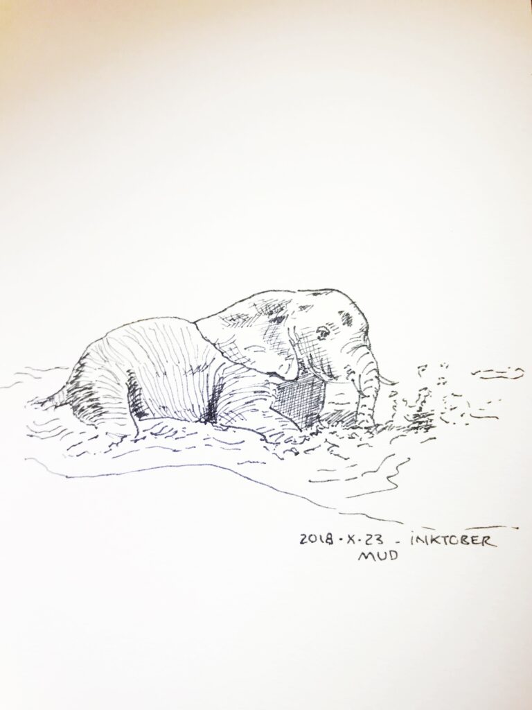 Black ink drawing of a baby elephant waddling in water.