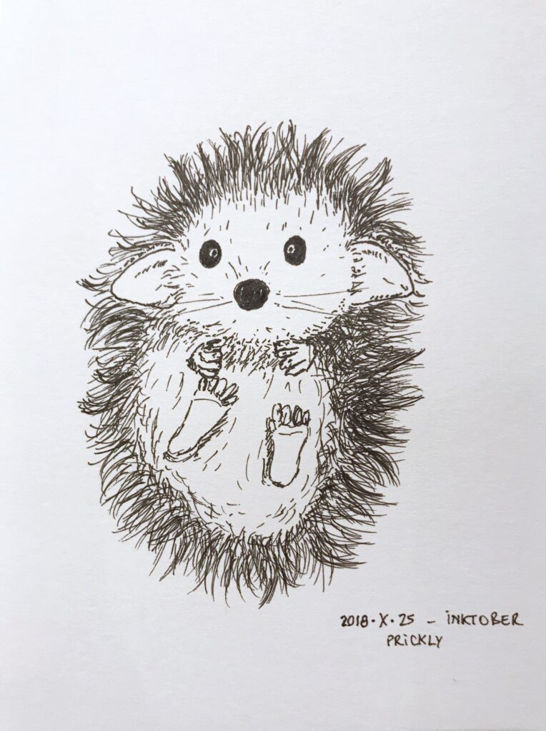 Black ink drawing of a baby hedgehog on its back with tiny hands and feet, big ears, big round black eyes and nose.