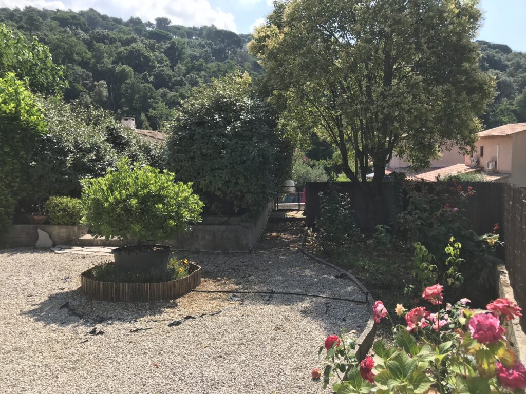 Le jardin vu du portail de côté: plate-bandes avec hortensia et rosiers, grand troène, îlot en centre du gravier avec un gros pot et un arbuste rond.