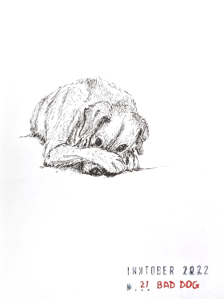 Black ink drawing of a yellow labrador hiding its face under a paw