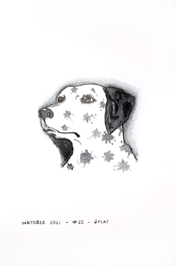 Black and grey ink drawing of a dalmatian dog