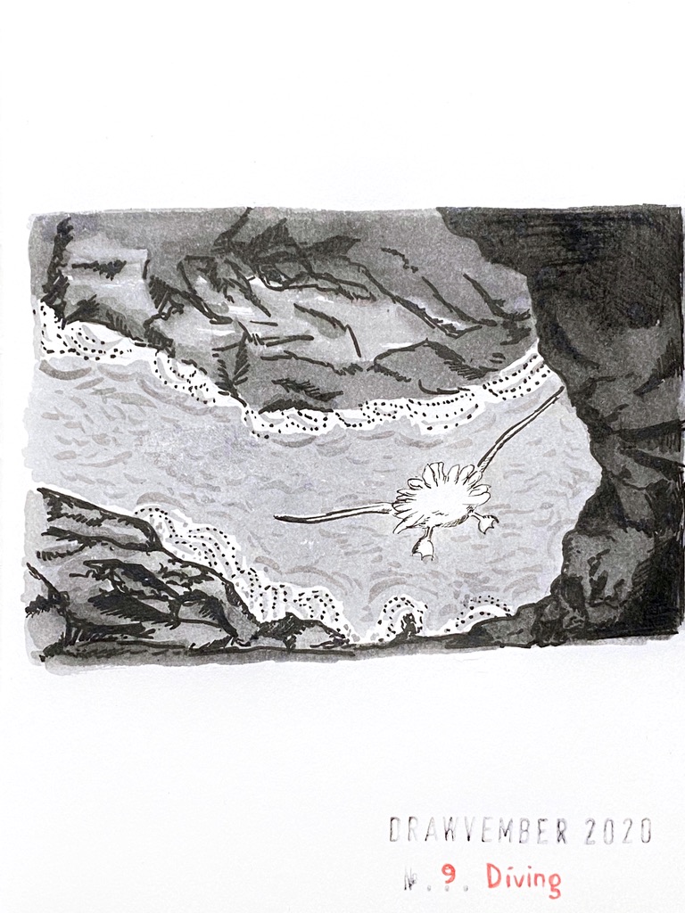 Grey ink drawing of a bird diving down a cliff toward water that seems to be quite far below