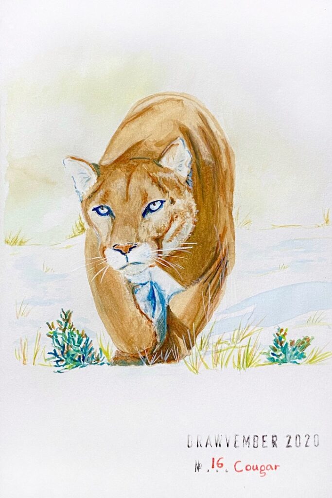 Gouache painting of a cougar walking on snow