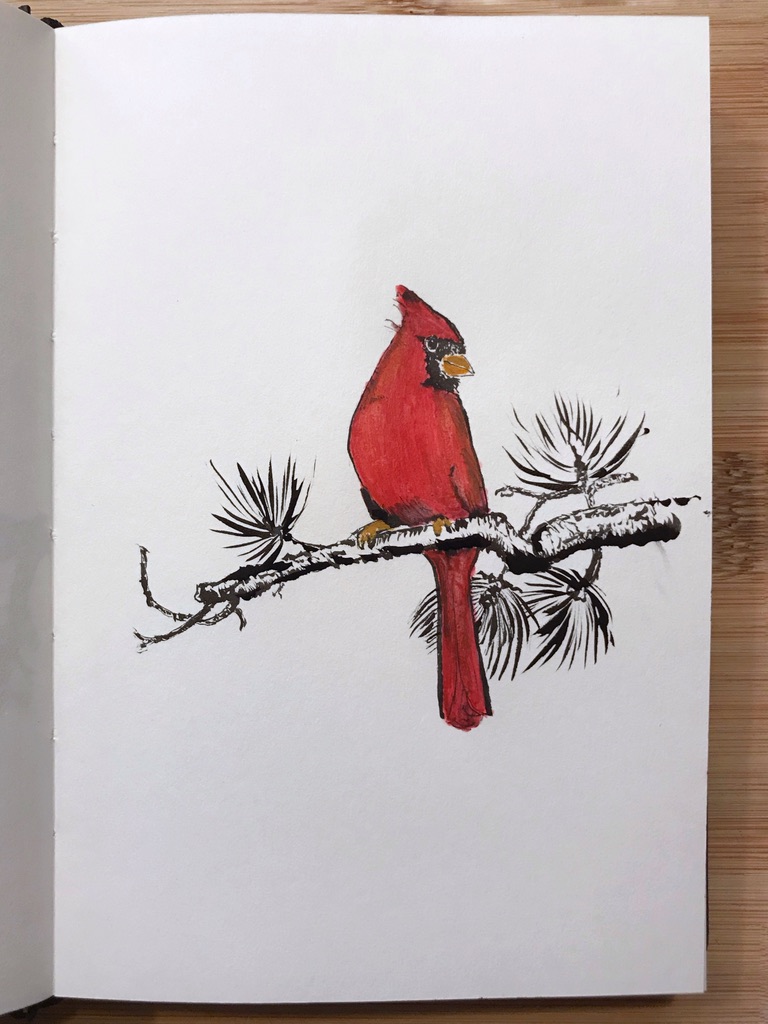 Black ink and red acrylic paint drawing of a cardinal perched on a pine tree branch.
