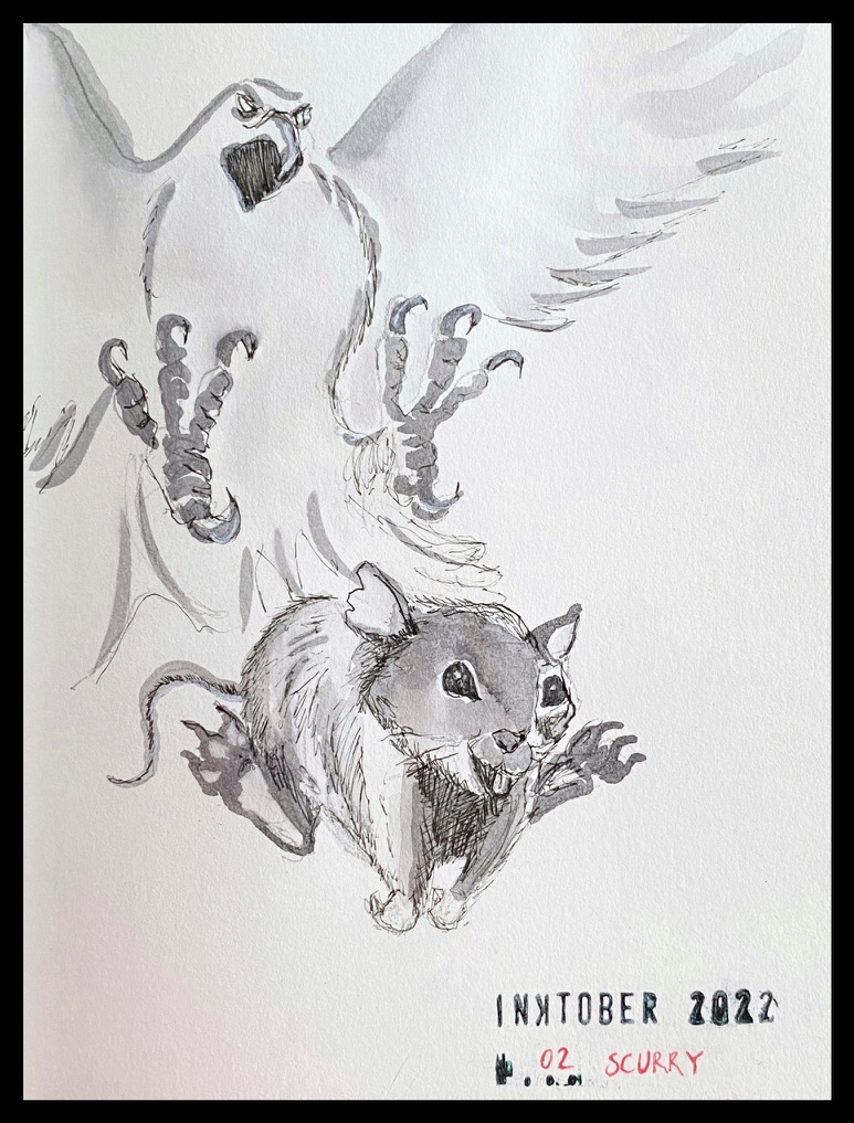 Grey ink drawing of a running happy-looking rodent being chased by a bird of prey