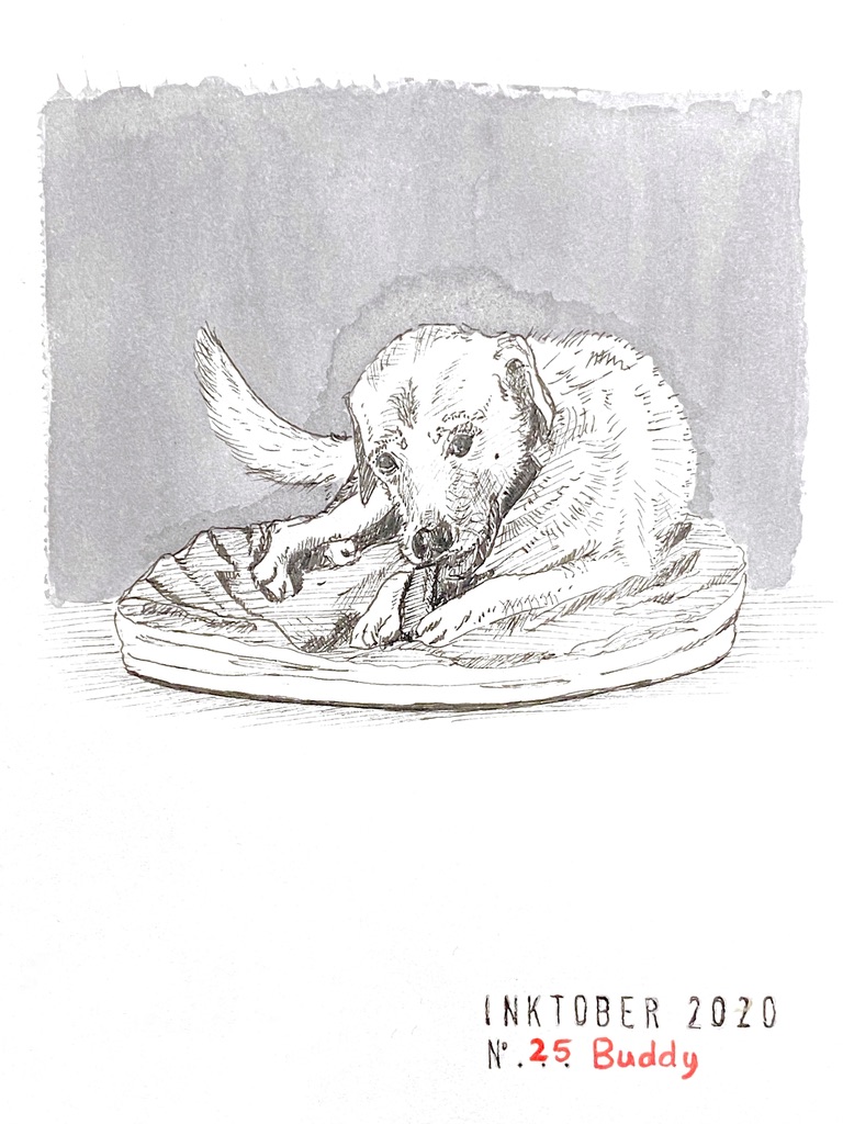 Black and grey ink drawing of my dog Gizmo, a labrador, munching on a bone on his cushion.