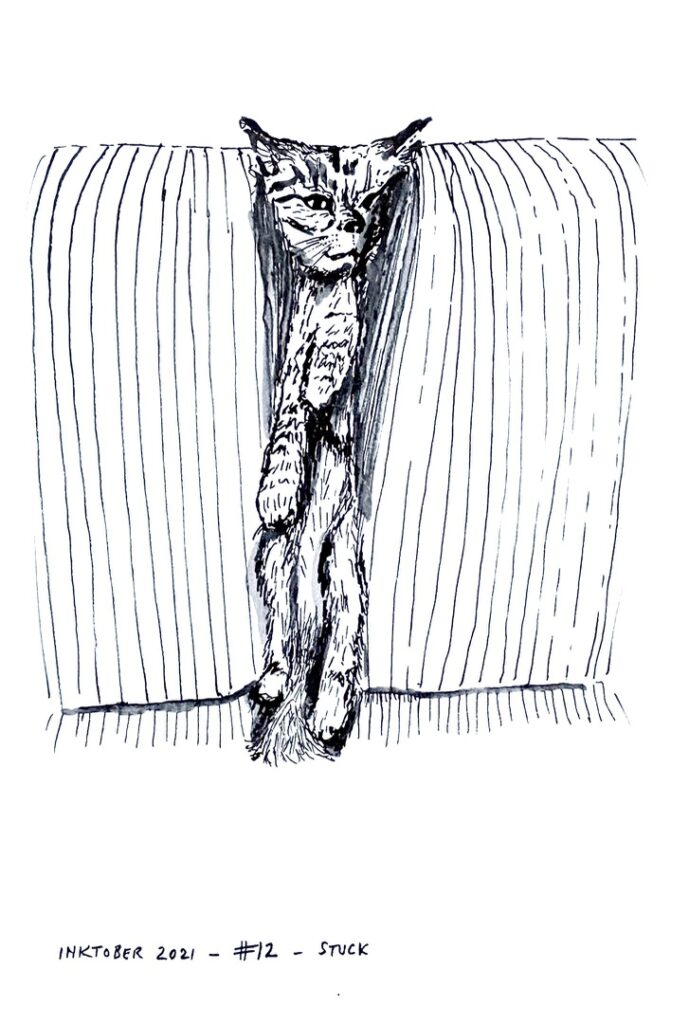 Black ink drawing of a cat stuck between the two cushions of a sofa