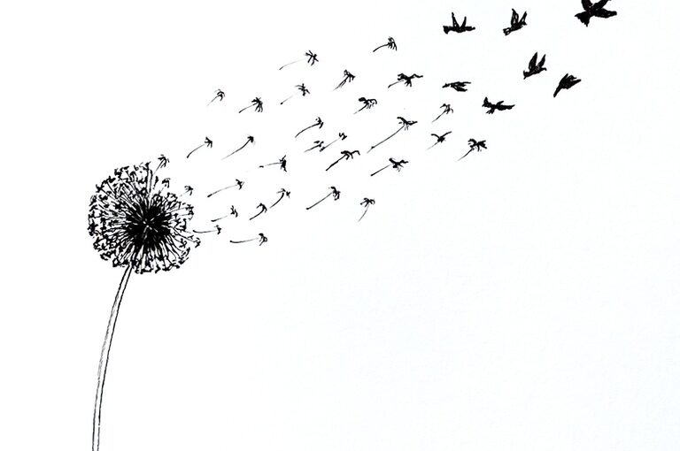 Black ink drawing of a dandelion shedding its seeds in the wind, which turn into birds the farther they get from the flower.