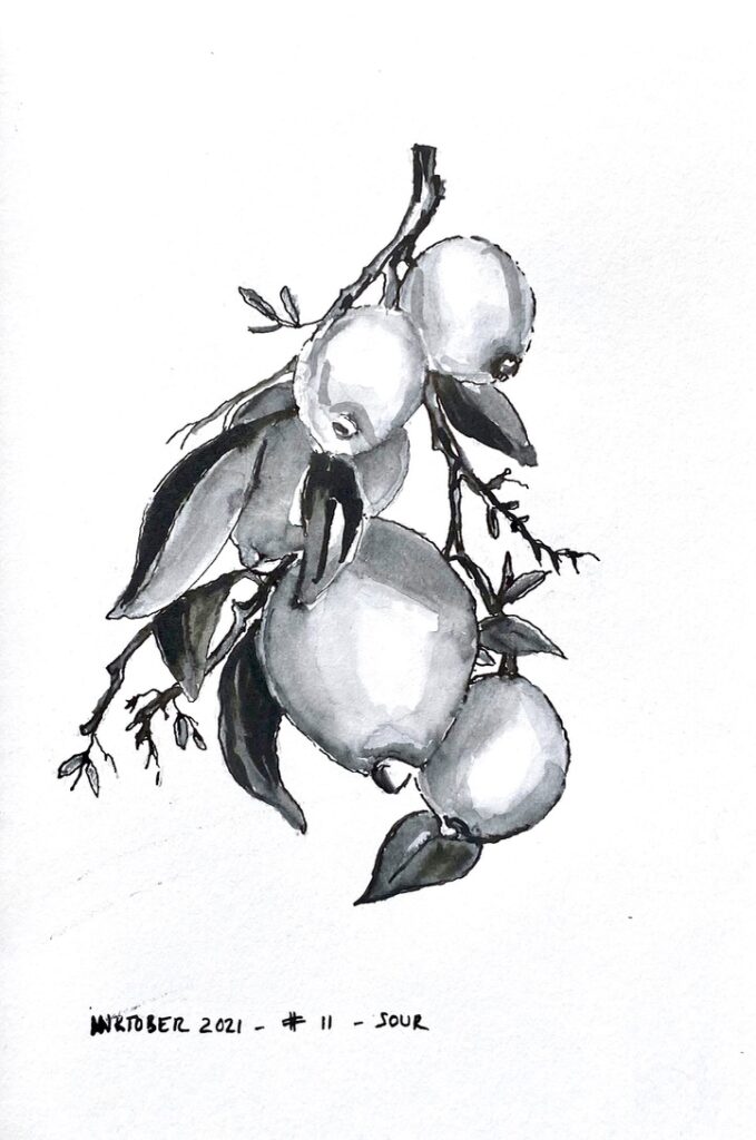 Black and grey ink drawing of lemons on a branch