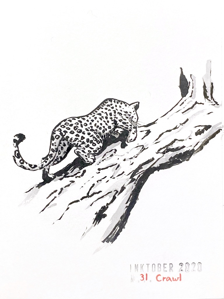 Black and grey ink drawing of a leopard climbing up a tree trunk.