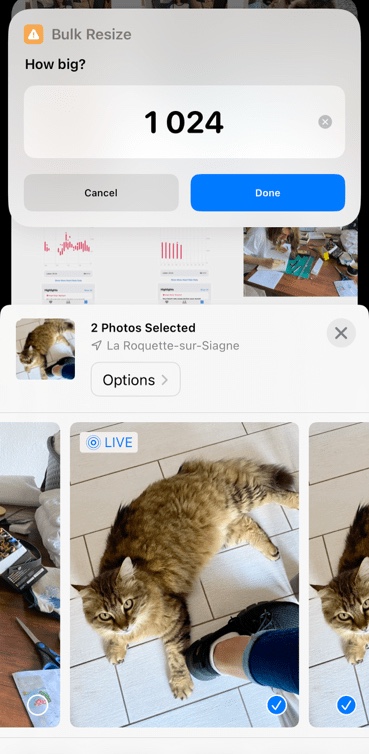 Screenshot of two photos selected on iPhone and a pop in at the top to choose how big to resize them with 1024 set as default.
