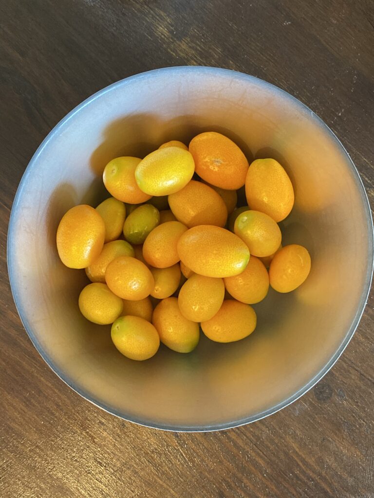 Gros plan sur un bol à moitié rempli de kumquats