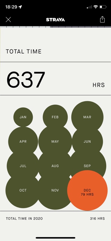 Total time: 637 hours (and visualization per month with a bigger circle for longest hours)