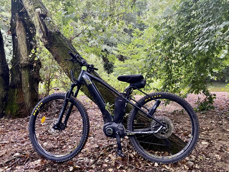 Dark grey electric mountain bike propped against a tree in the forest