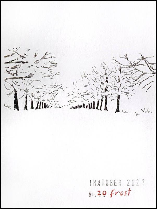 Black ink drawing of two rows of trees and snow