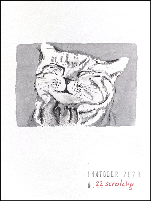 Grey ink drawing of a cat with closed eyes being scratch under the head