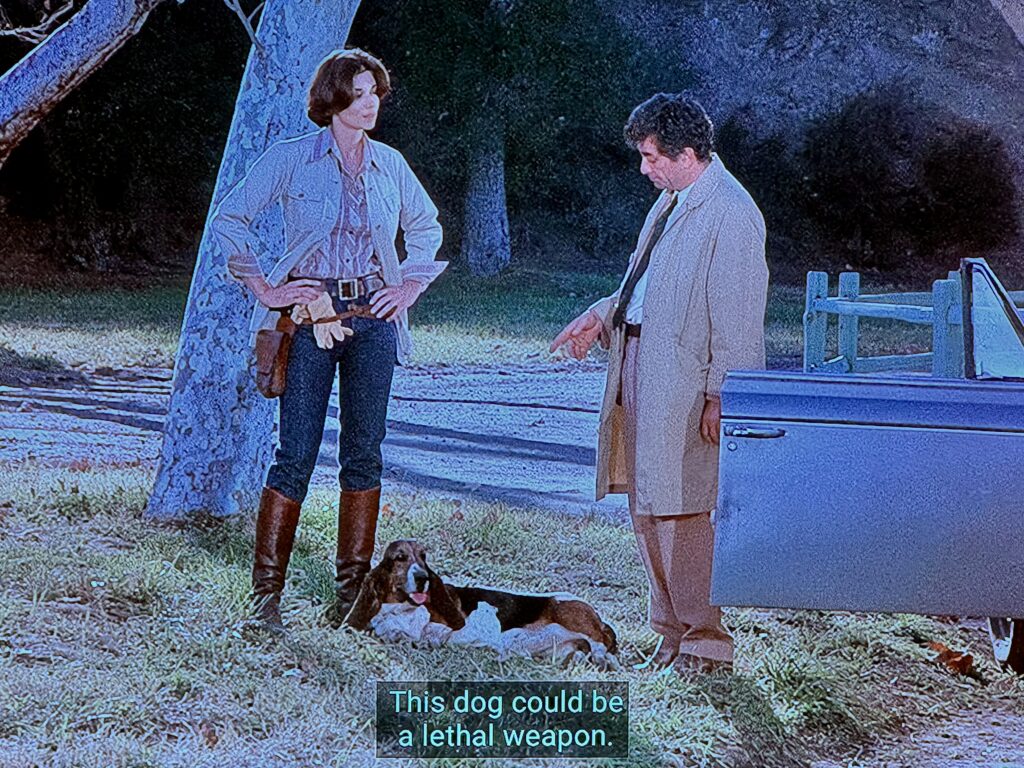 Lieutenant Columbo between the open door of his car and his dog, a basset hound spread flat on his side in the grass, talks to a tall young woman (who in the episode trains dogs), telling her “Thos dog could be a lethal weapon.”