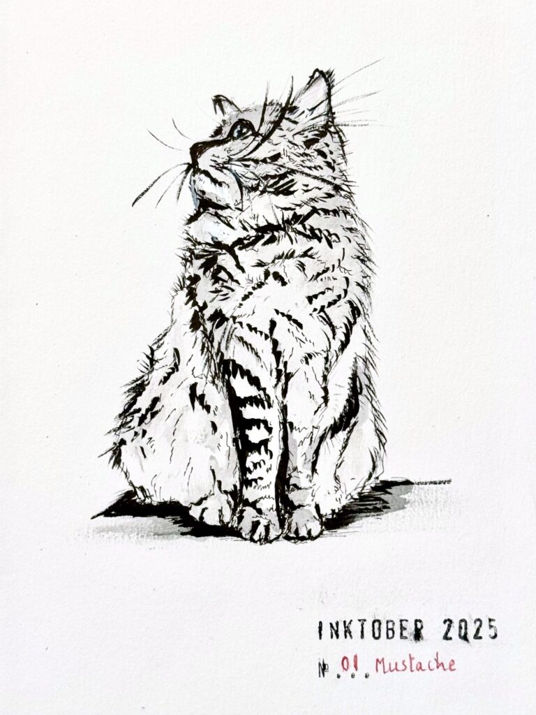Black and grey ink Brushpen drawing of a seated fluffy tabby cat looking up and to the side.