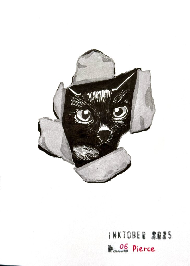 A black and grey ink drawing of a black cat's face peeking through torn paper. The title at the bottom right reads "Inktober 2025" and "06 Pierce".