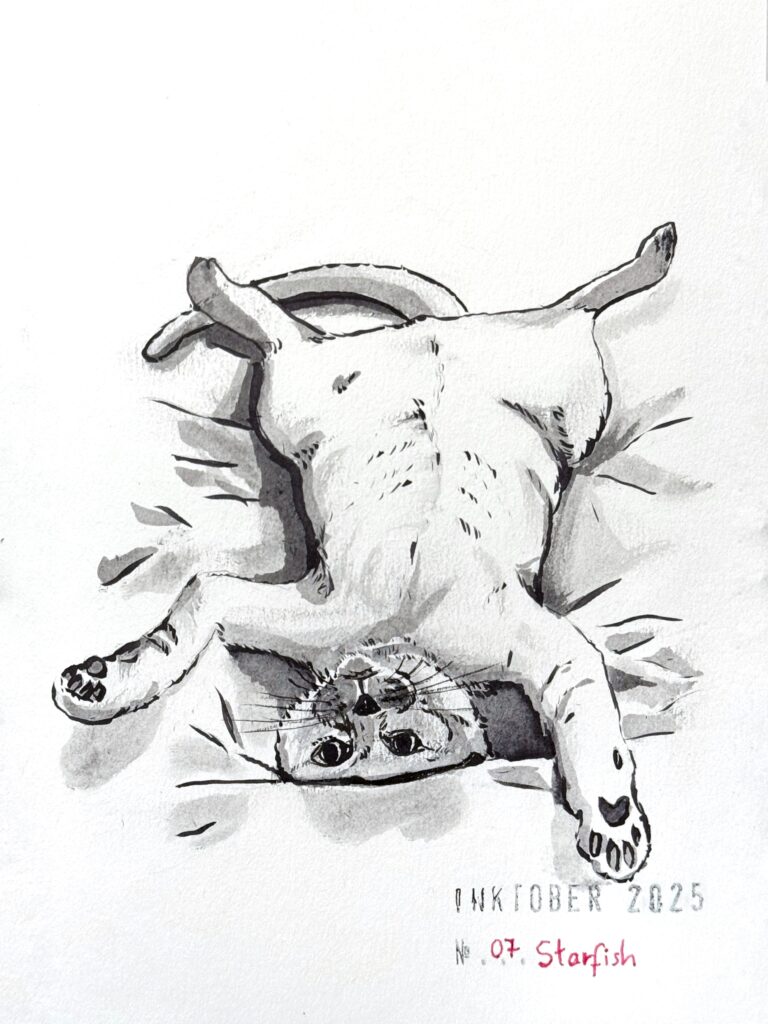 Black and grey ink drawing of a cat with eyes wide open lying on its back on a bed or blanket, with legs spread out, resembling a starfish. The artwork is titled "Inktober 2025" with the number "07 Starfish" displayed at the bottom.