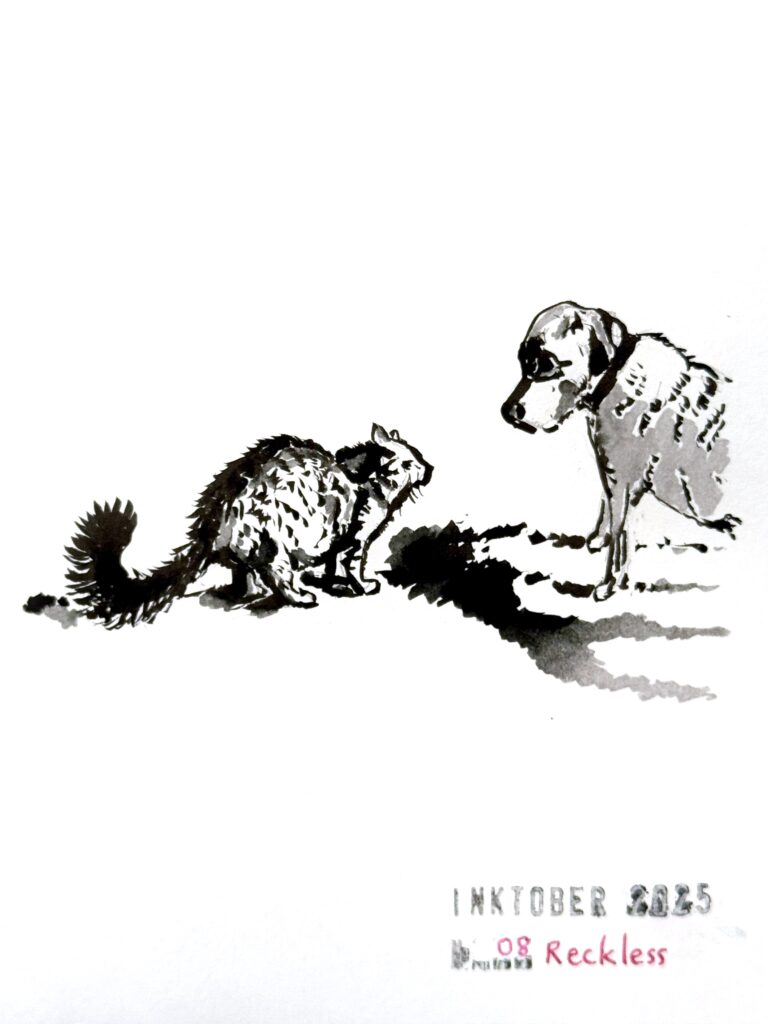 A simple black and grey ink drawing depicting a cautious fluffy tabby cat that looks like a raccoon facing a friendly Labrador dog. The scene conveys curiosity and tension, with minimal shading and a simple background. The artwork is titled "Inktober 2025 - 08 Reckless."