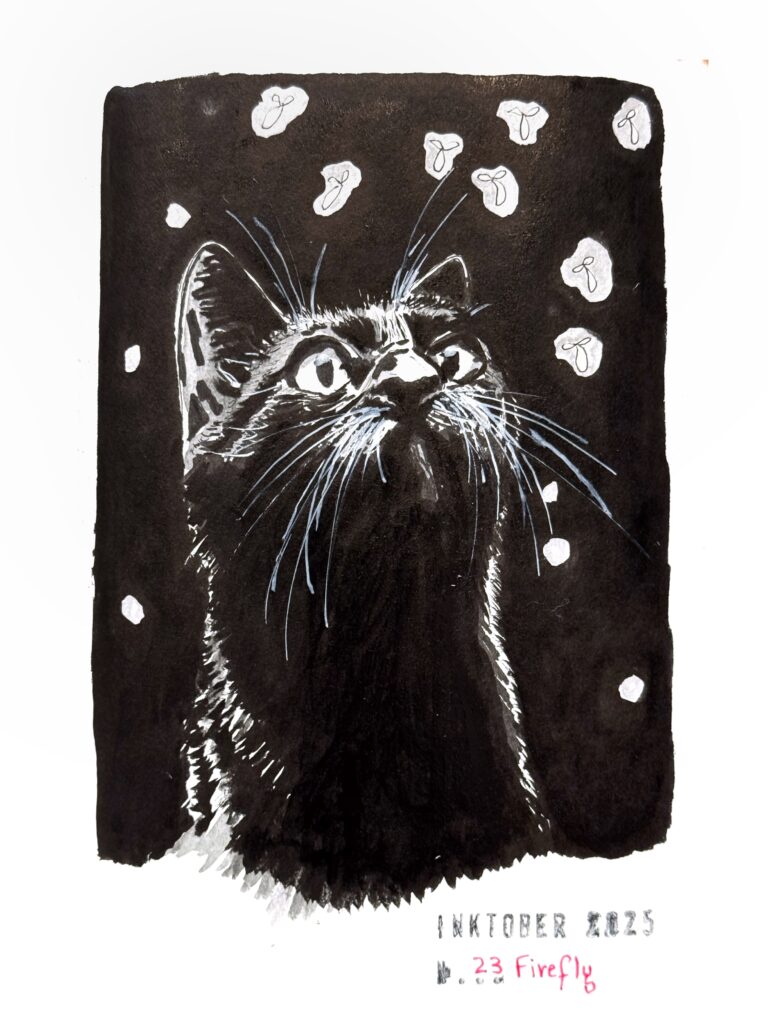 Black ink drawing of a black cat looking up and gazing at whimsical white specks resembling fireflies against a black background. The artwork is titled “Inktober 2025” and "23 Firefly."