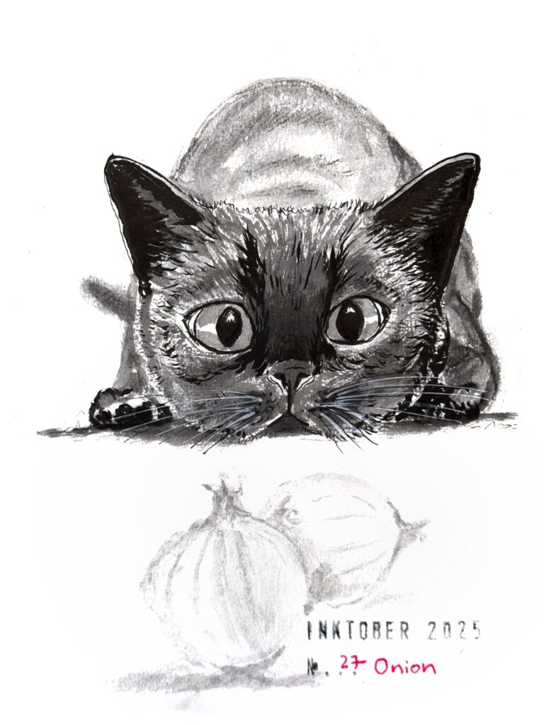A black and grey ink drawing of a cat crouched low, with large, expressive eyes, peering intently at two onions in the foreground. The artwork is titled"Inktober 2025" and "27 Onion."